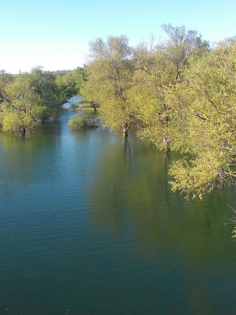Зелёные берега и вода Белогорского водохранилища в предгорье