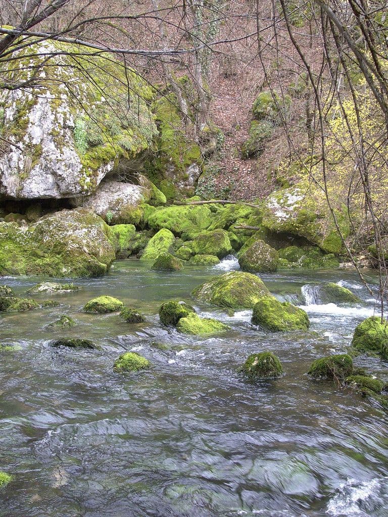 Поток источника Карасу-Баши среди мшистых валунов в лесном ущелье