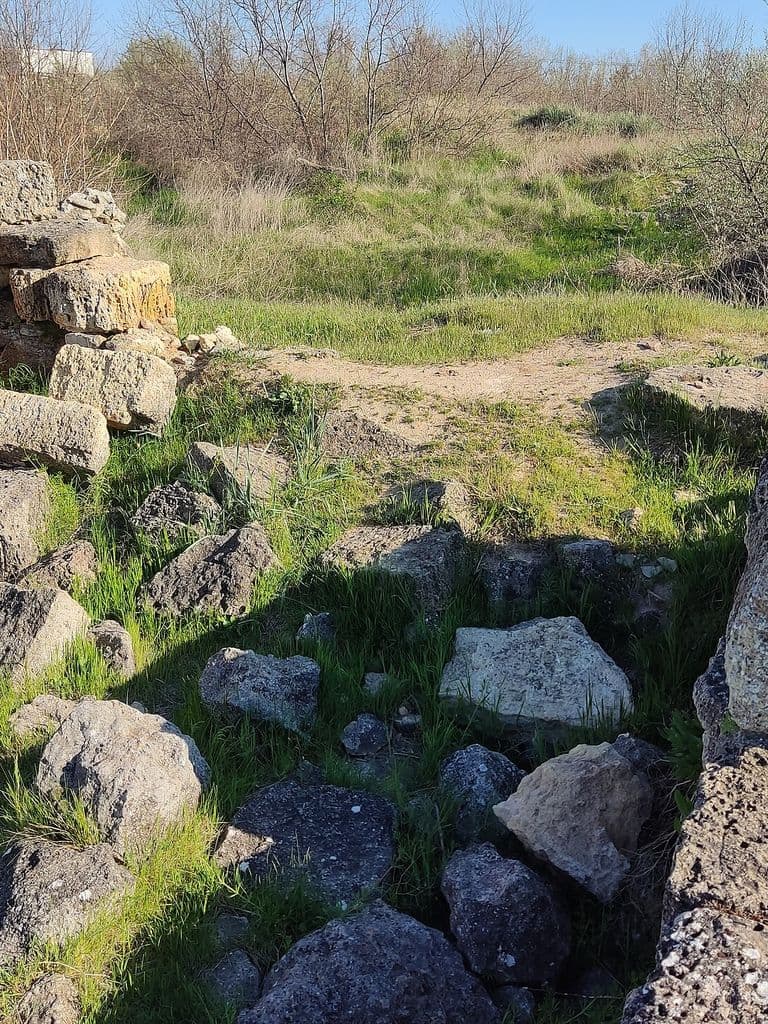 Раскопанные каменные кладки греко-скифского городища Чайка под Евпаторией